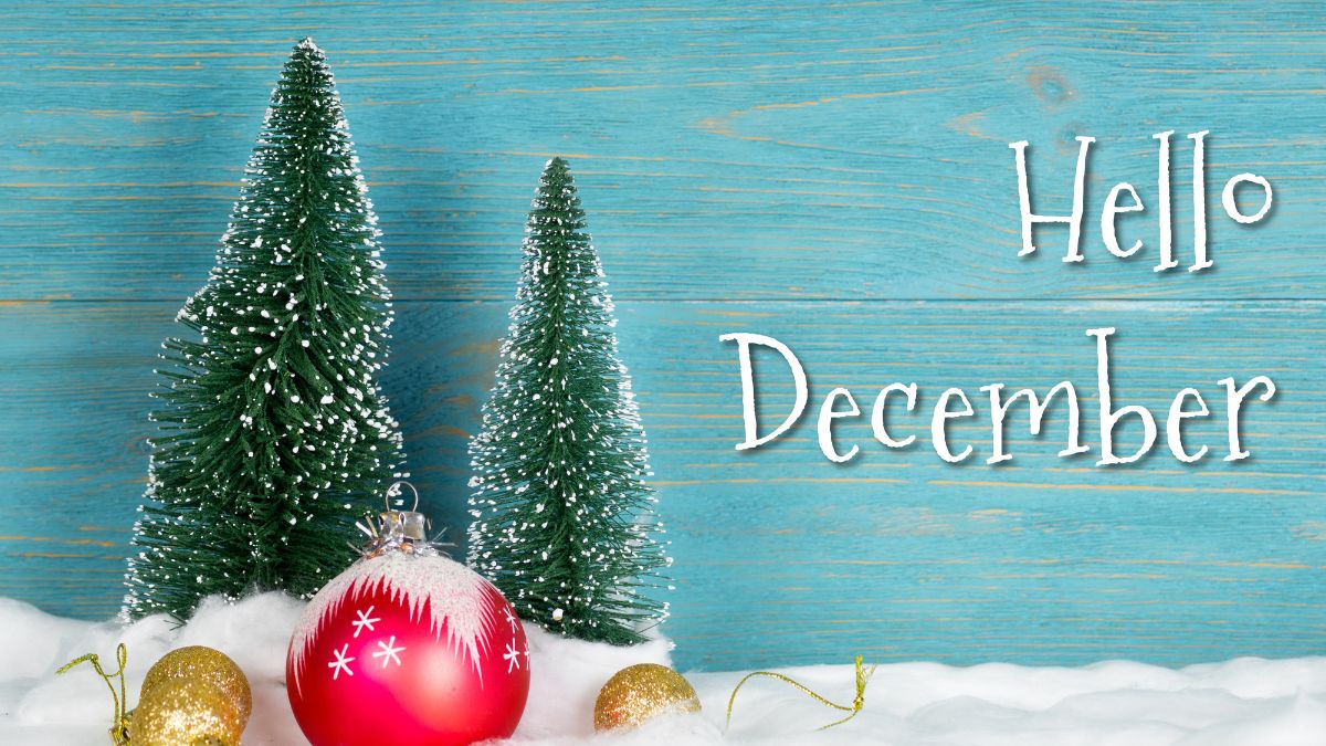 🎄✨ Đi Đâu Mùa Giáng Sinh?